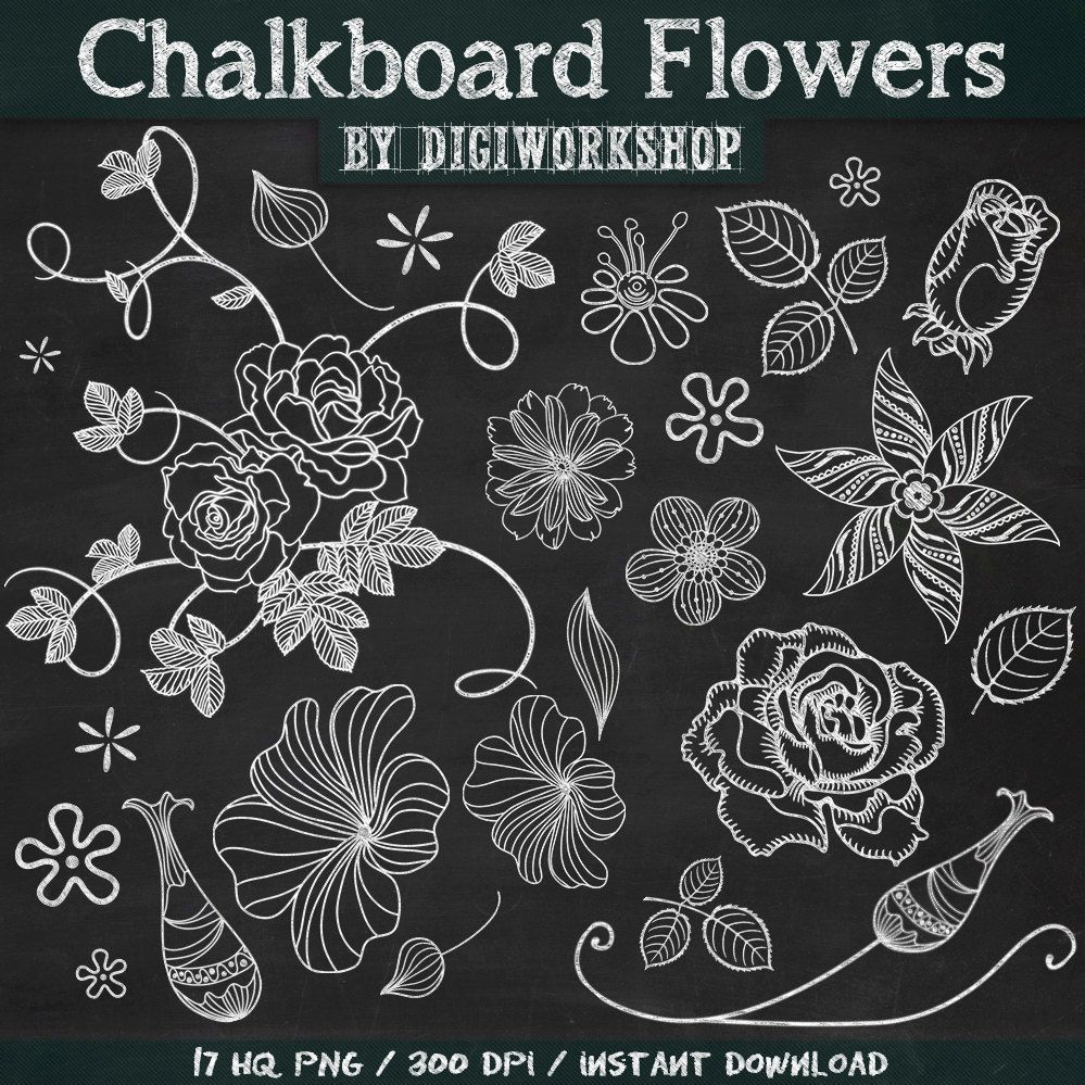 chalk clipart flower