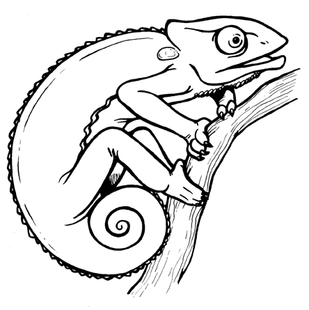 Cameleon pencil in color. Chameleon clipart black and white