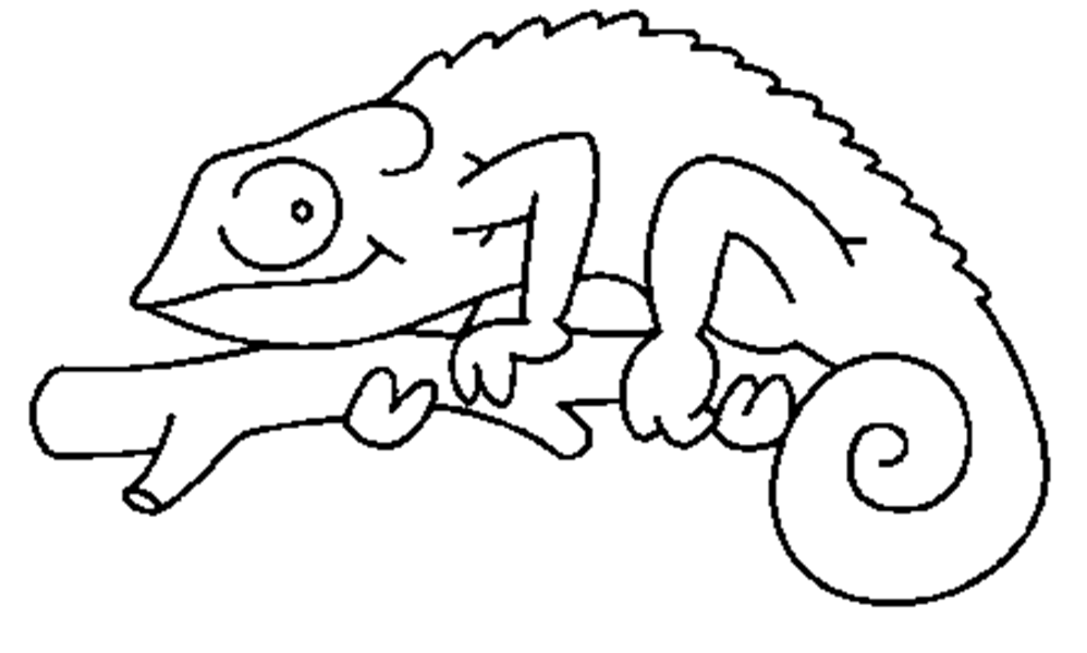 Outline drawing at getdrawings. Chameleon clipart black and white