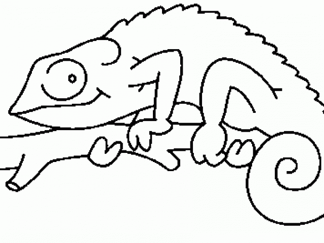 Line free download best. Chameleon clipart drawing