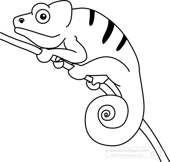 Black and white . Chameleon clipart drawing