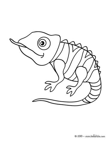 chameleon clipart easy draw