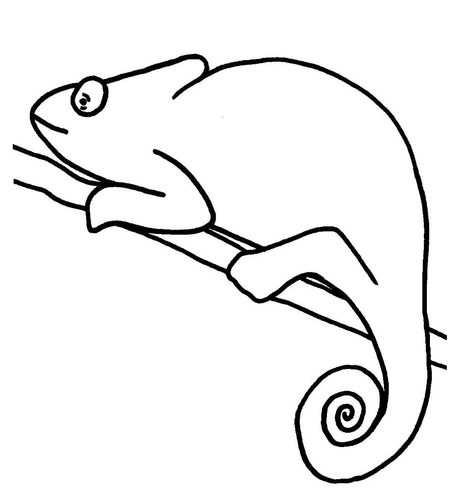 chameleon clipart easy draw