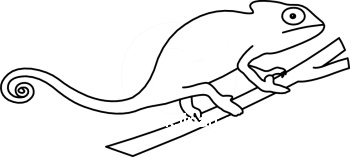 Chameleon clipart illustration. Collection of funny