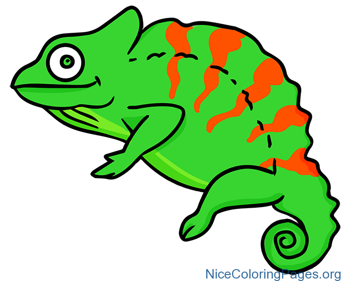 Chameleon clipart logo. Coloring pages chameleoncoloringpages