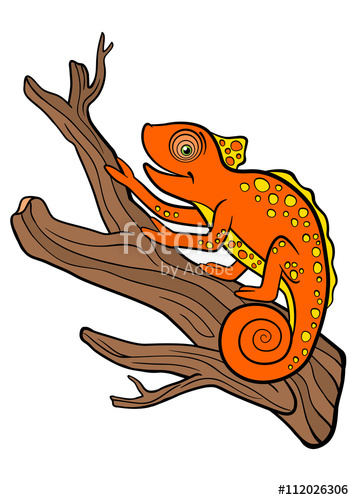 Chameleon clipart orange. Cartoon animals for kids