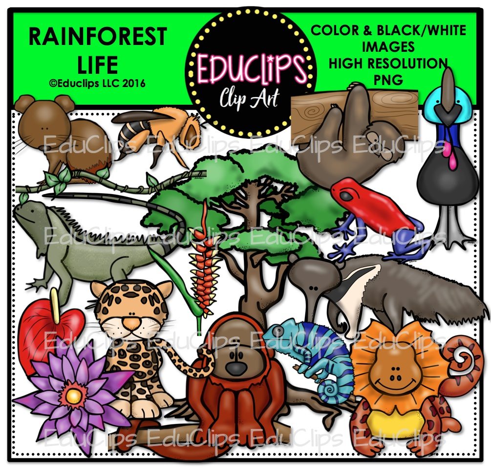 rainforest clipart physical geography