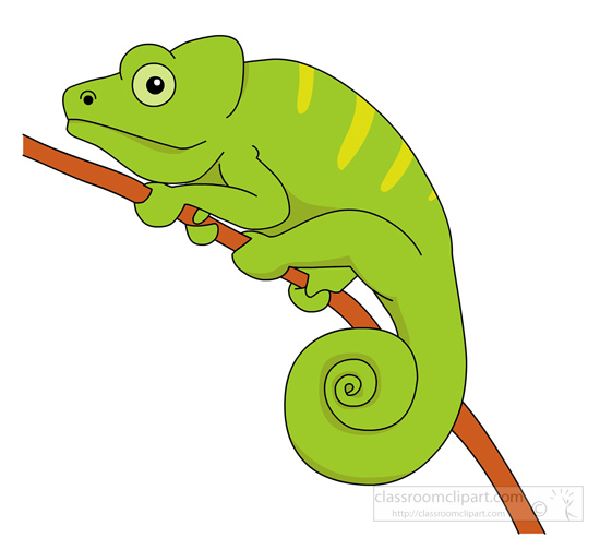 lizard clipart chameleon