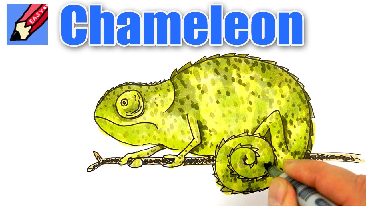 chameleon clipart simple