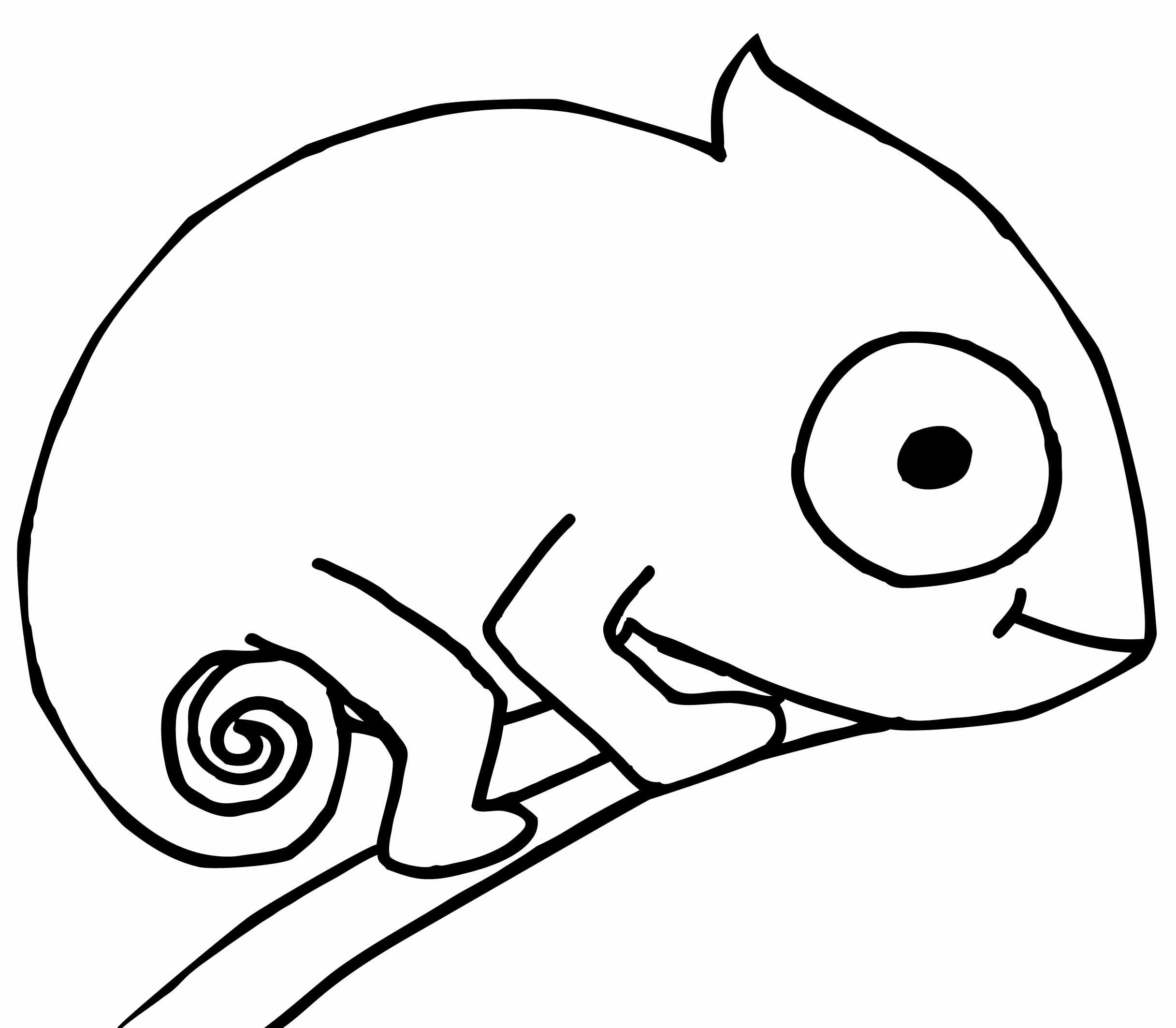 Chameleon Clipart Template Chameleon Template Transparent FREE For