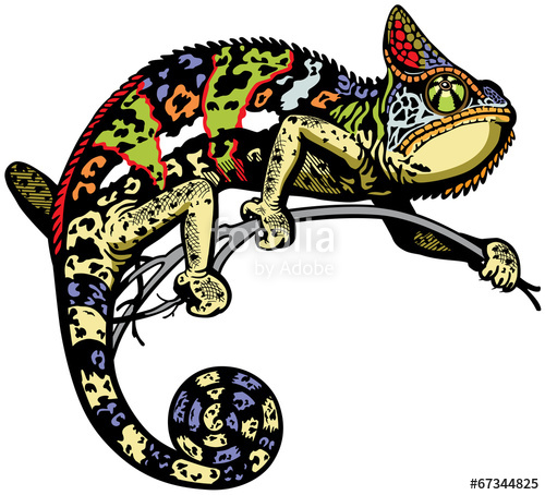 Chameleon clipart vector. Stock image and royalty