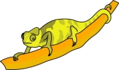 chameleon clipart yellow