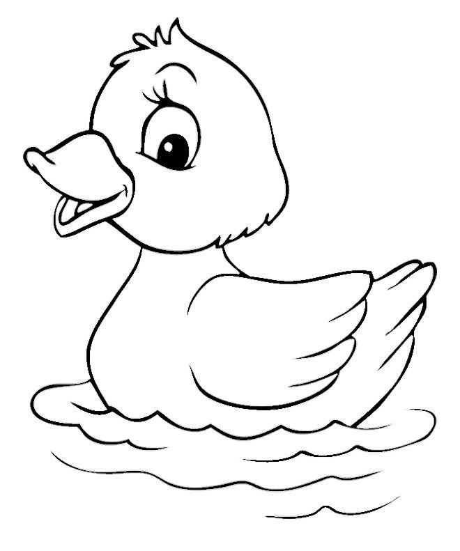 Animals coloring crafts and. Duckling clipart colouring page