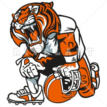 Cheerleading tiger