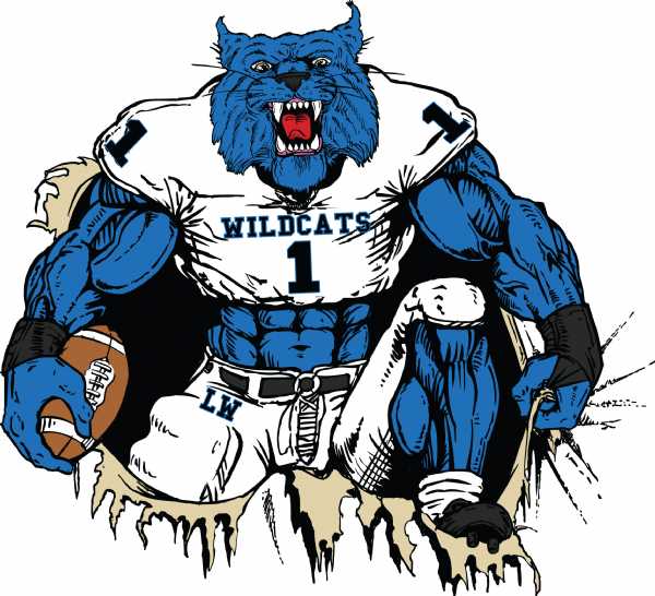 Wildcat clipart temple.  wildcats youth football