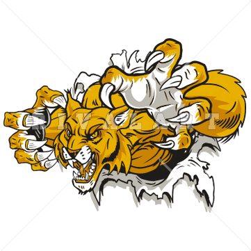 Wildcat clipart black gold. Mascot image of busting