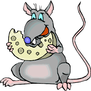 clipart rat animal eating