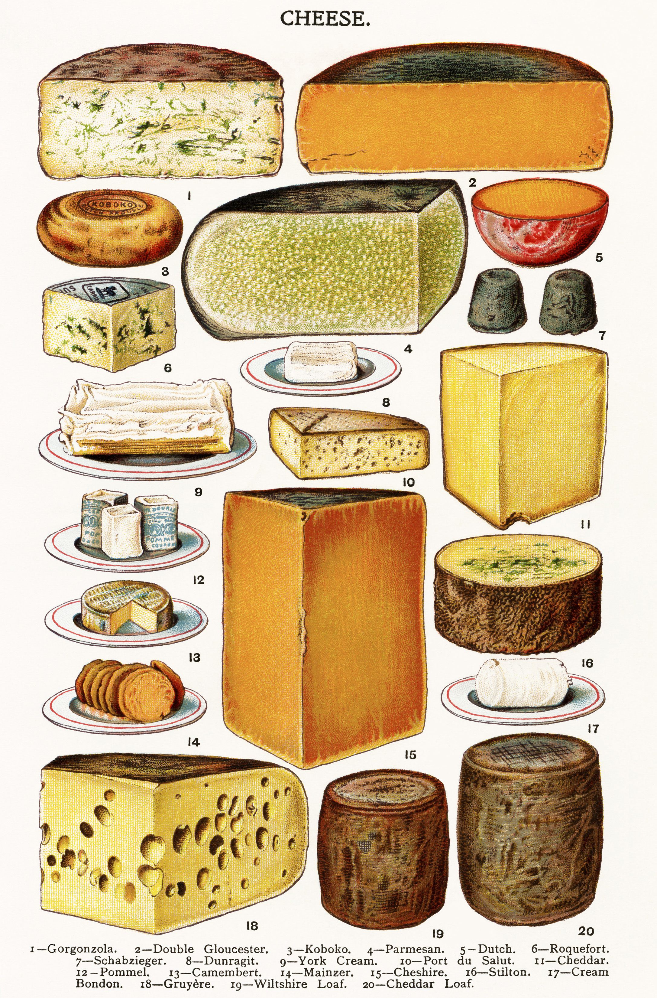 Cheese clipart vintage. Gorgonzola dutch cheddar camembert