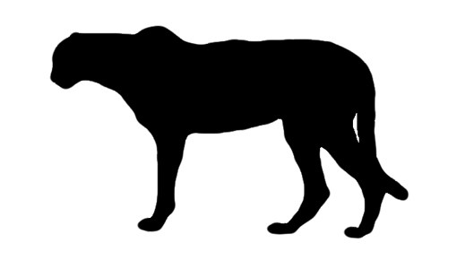 cheetah clipart big cat