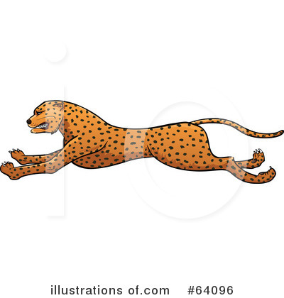 cheetah clipart big cat