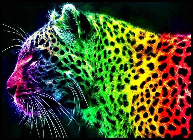 Rainbow free collection download. Cheetah clipart big cat