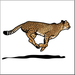 Cheetah clipart big cat. Clip art cats color