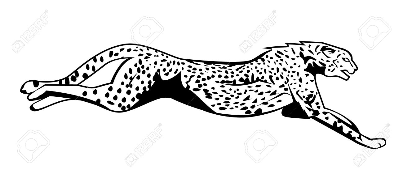 cheetah clipart black and white