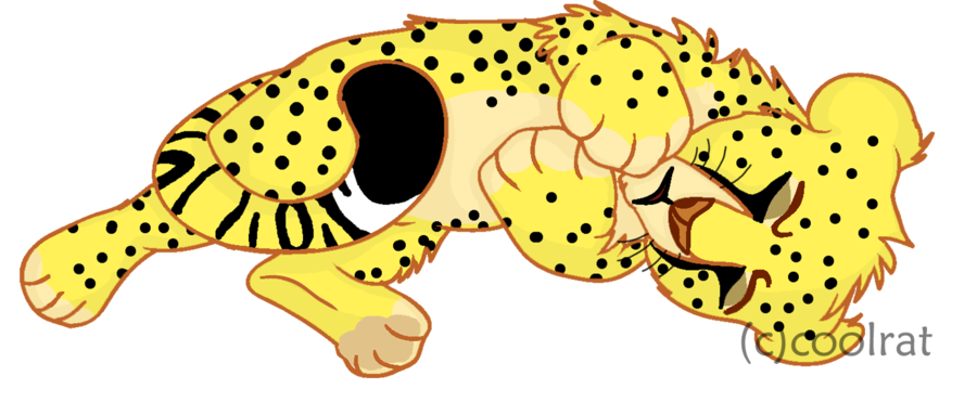 Cub d by coolrat. Cute clipart cheetah