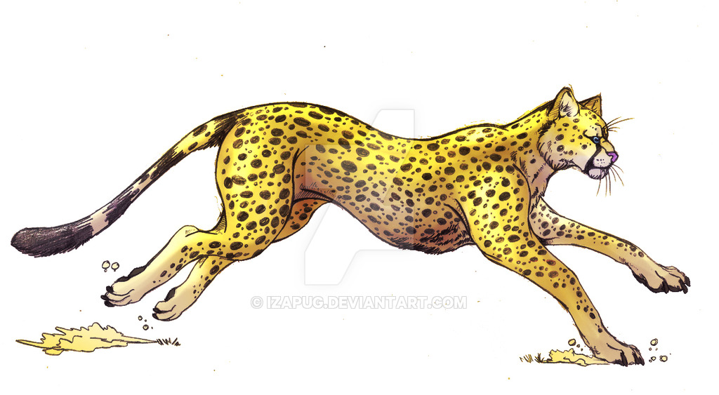 Running by izapug on. Cheetah clipart cheetah run