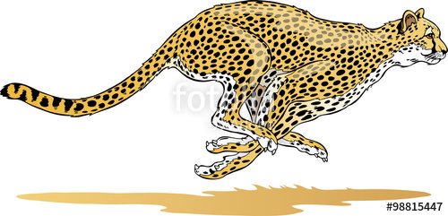 Cheetah clipart cheetah run. Vector speed logo stock