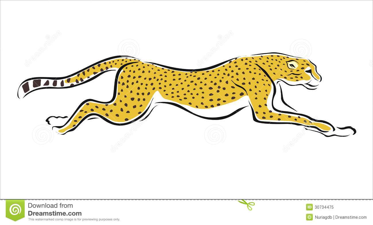 Running . Cheetah clipart cheetah run