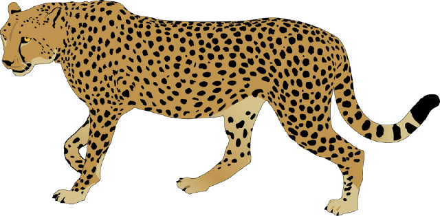cheetah clipart chetah
