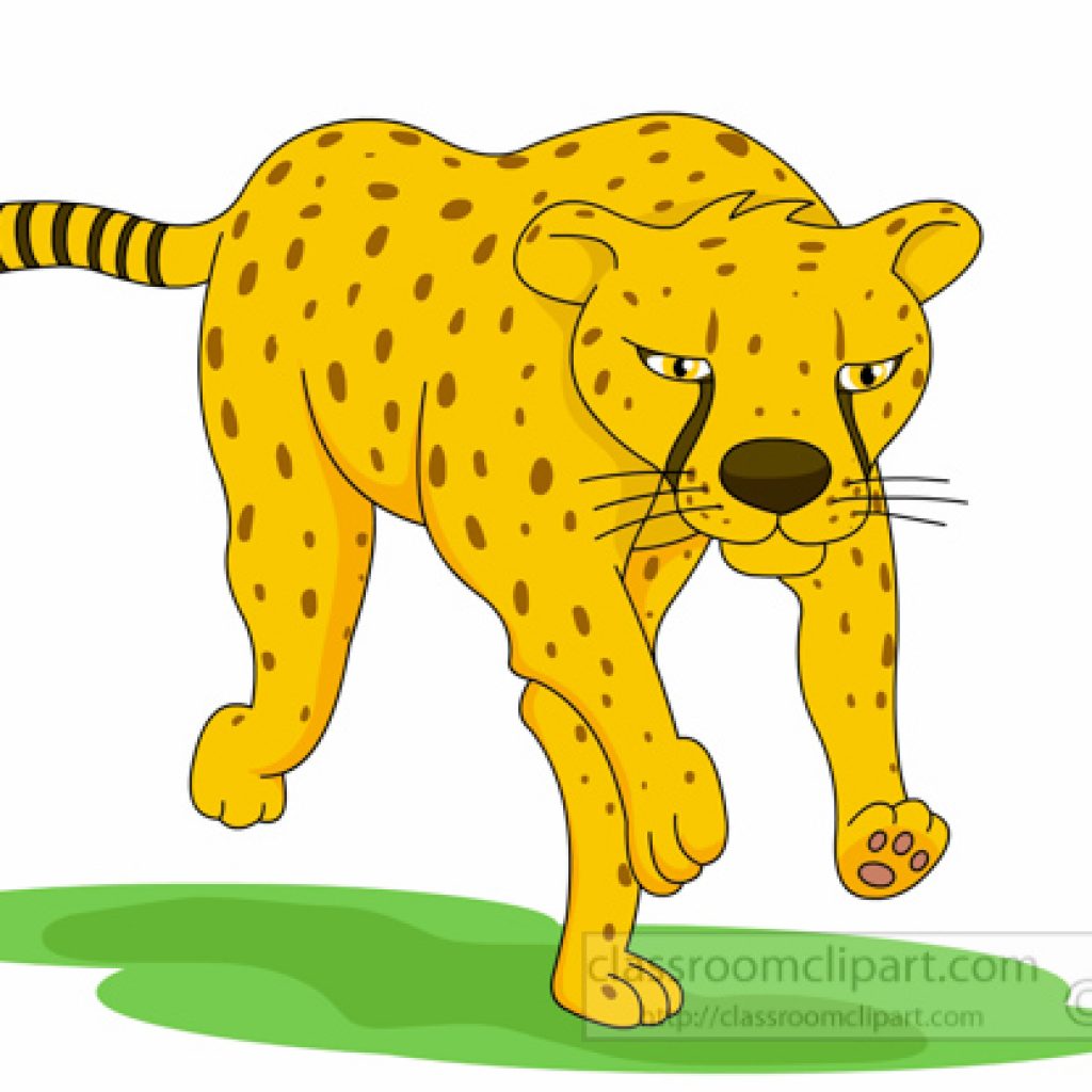 Cheetah clipart chetah, Cheetah chetah Transparent FREE for download on ...