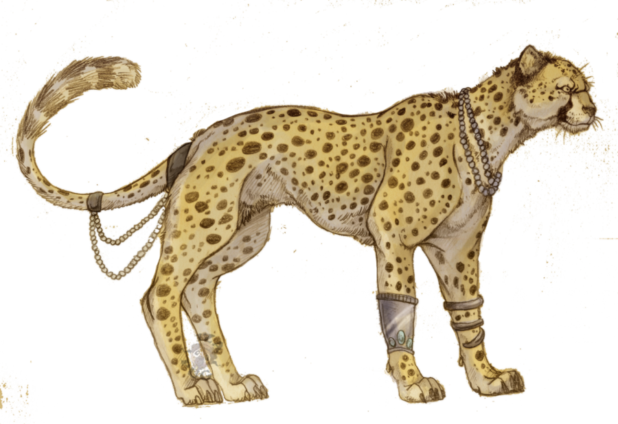 Lion drawing cat transparent. Cheetah clipart chita
