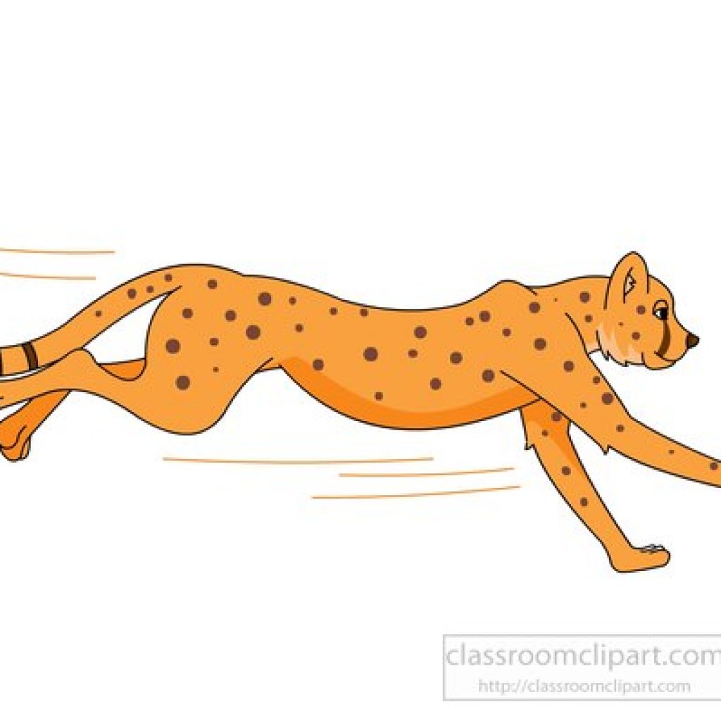 cheetah clipart clip art