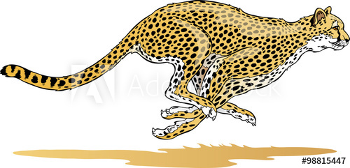 cheetah clipart fast animal
