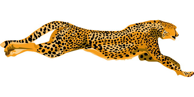 leopard clipart cheetah run