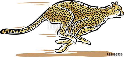 Cheetah fast cheetah
