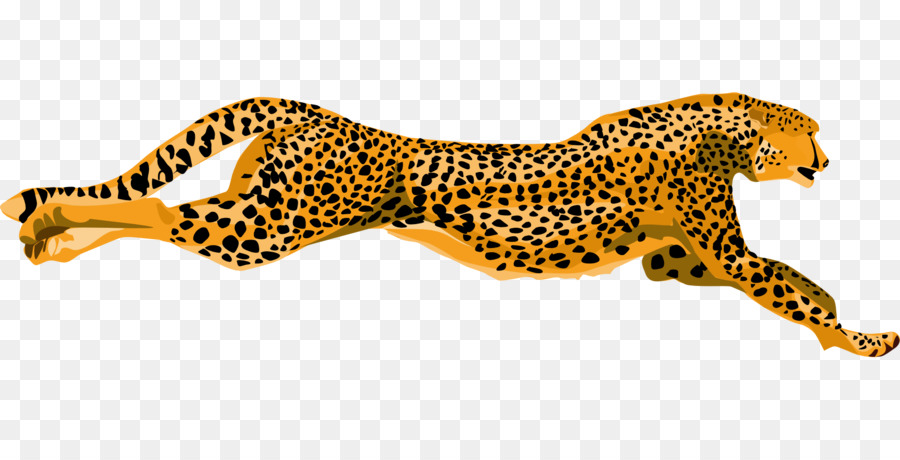 cheetah clipart fast cheetah