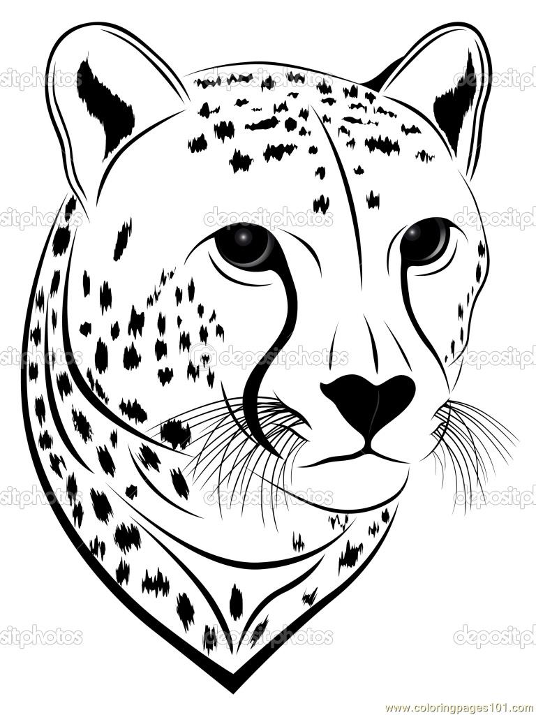 cheetah clipart head