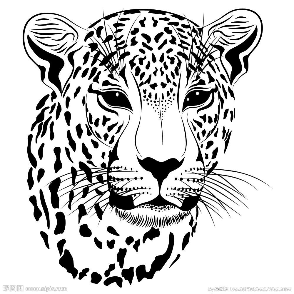 Cheetah head