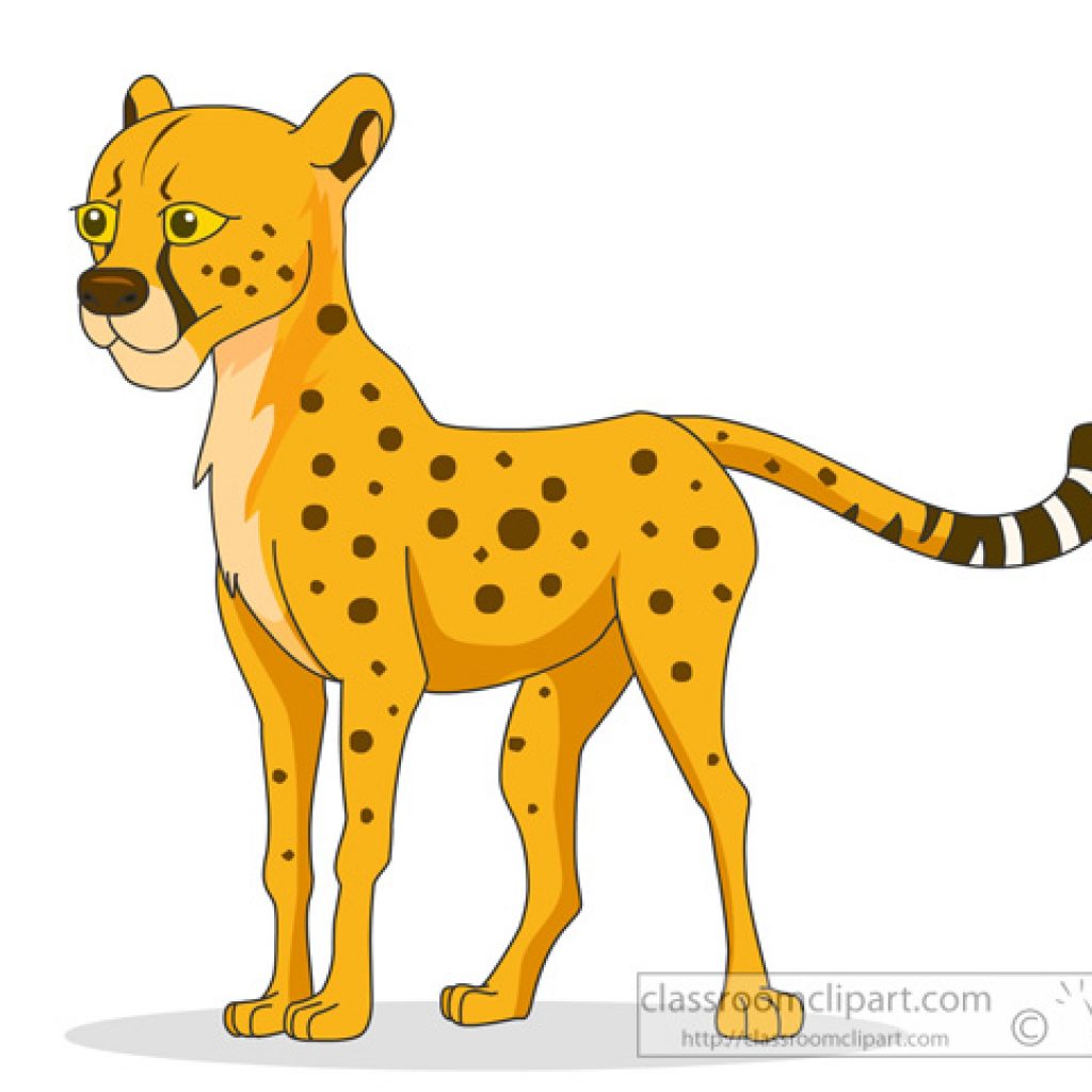 Cheetah clipart illustration, Cheetah illustration Transparent FREE for ...