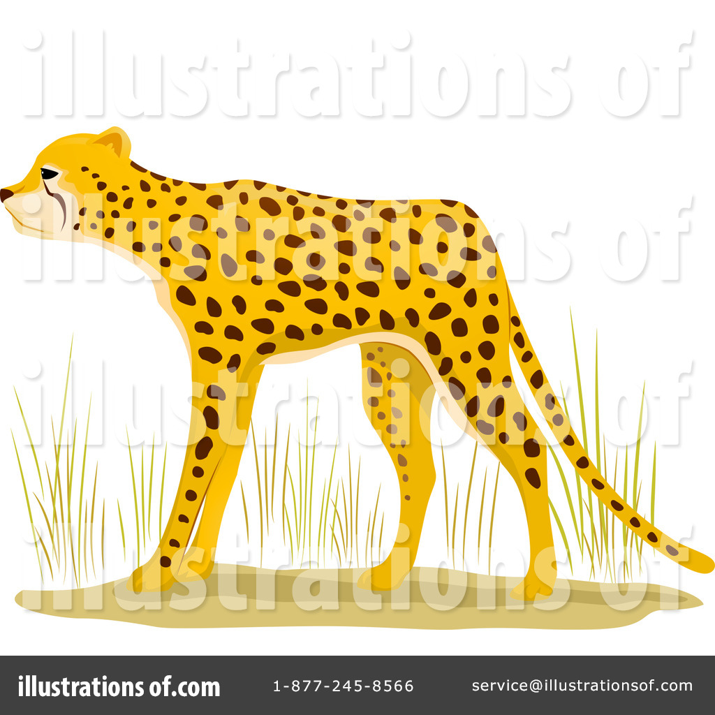 By bnp design studio. Cheetah clipart illustration