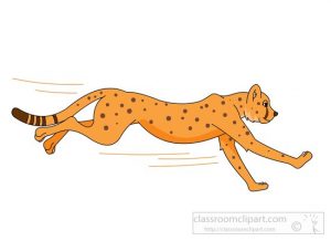cheetah clipart jumping