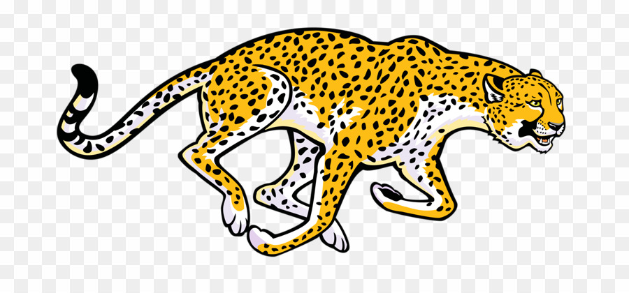 cheetah clipart leopard