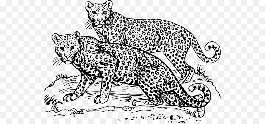 cheetah clipart line art