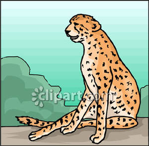 cheetah clipart muscular