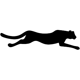 cheetah clipart panther