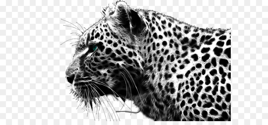 Cheetah Clipart Panther Cheetah Panther Transparent Free