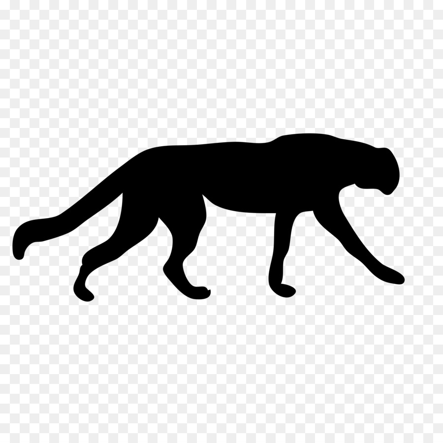 cheetah clipart panther